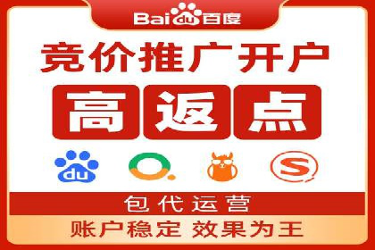 百度推广运营案例精选：揭秘成功之道